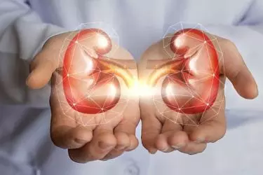 Kidney Transplant Surgery in India, Best Hospital Doctor Cost for Kidney Transplant, Procedure for Kidney Transplant in India