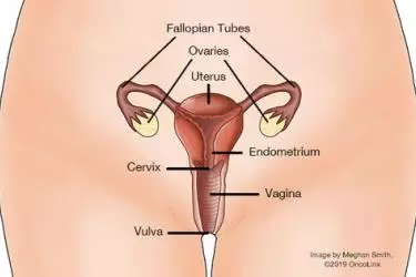 best doctor for uterine cancer treatment in india, best hospital for uterine cancer treatment in india, cost of uterine cancer treatment in india, dr vinay gaikwad and Dr Anjali Kumar best  cancer surgeon in india